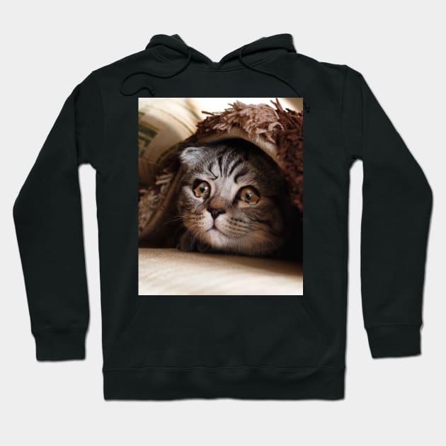 Sad Cat Crying Cat Cute Meme Hoodie by Random Galaxy